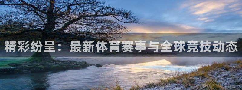 精彩纷呈：最新体育赛事与全球竞技动态